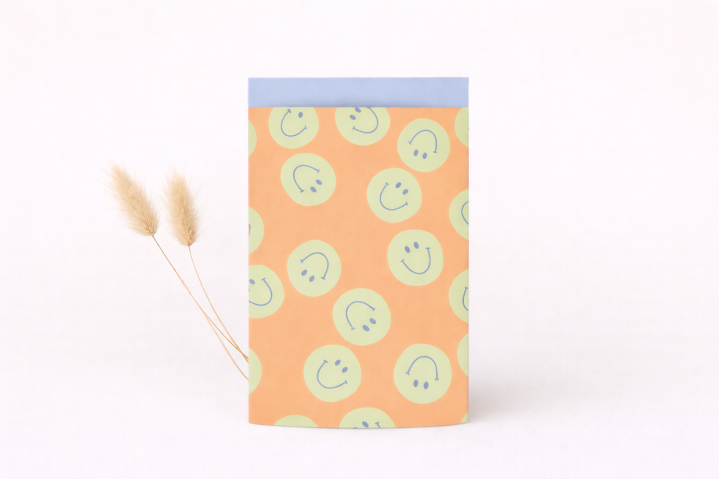 Papier Taschen • Smileys orange •10 Stk