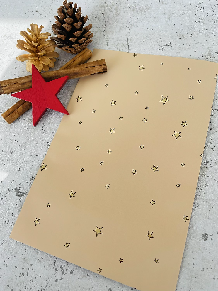 Papier Taschen  •Stars gold• 10 Stk