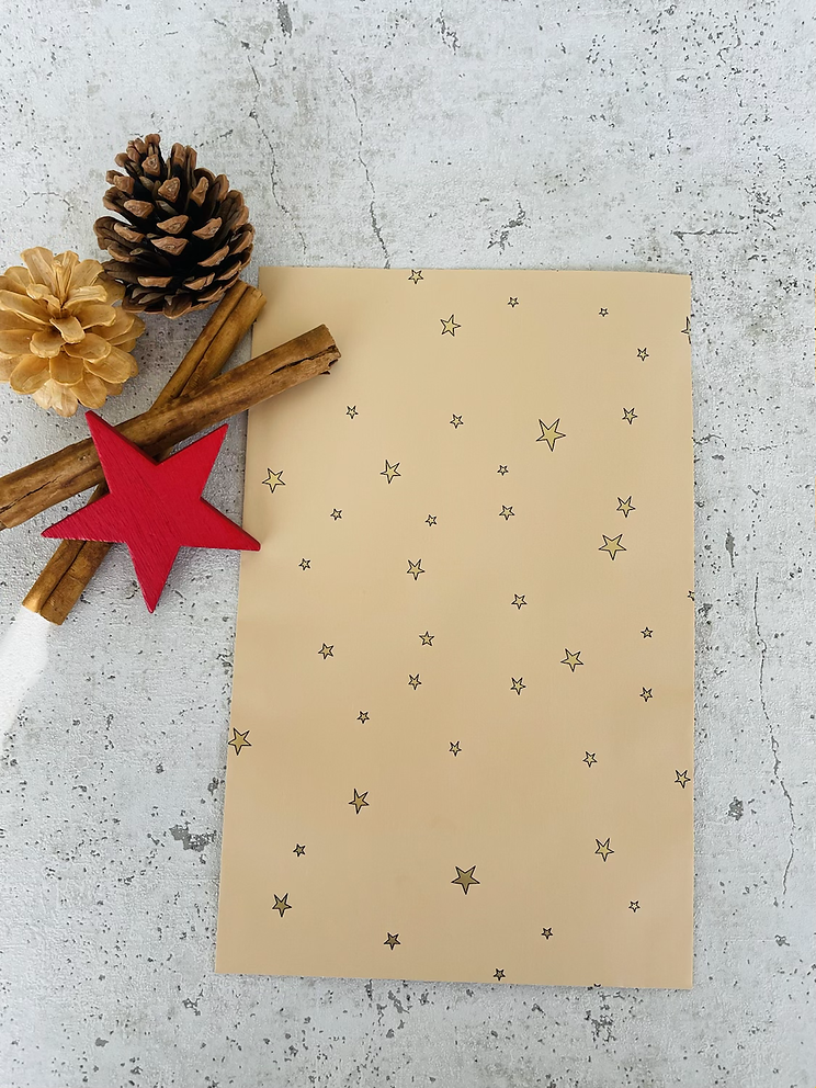 Papier Taschen  •Stars gold• 10 Stk