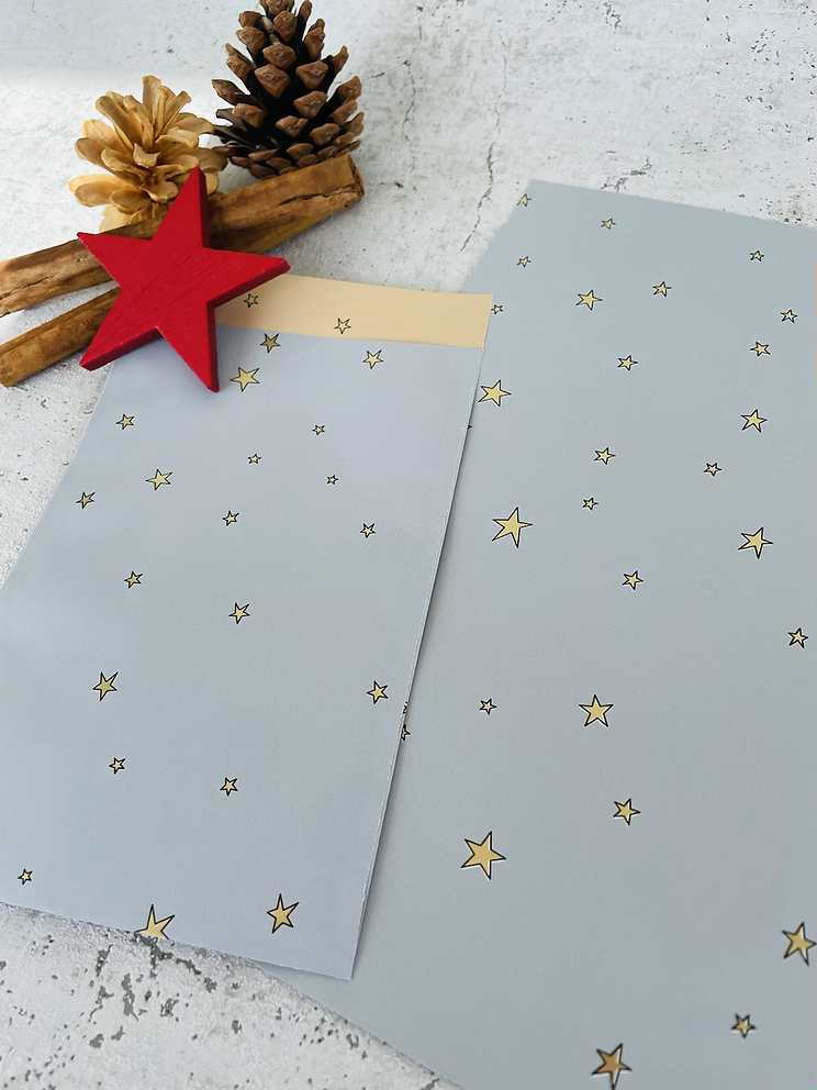 Papier Taschen  •Stars gold blau• 10 Stk