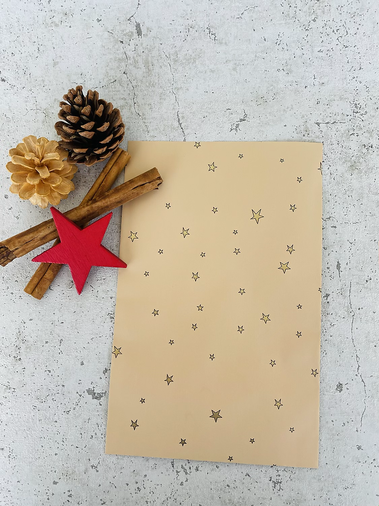 Papier Taschen  •Stars gold• 10 Stk