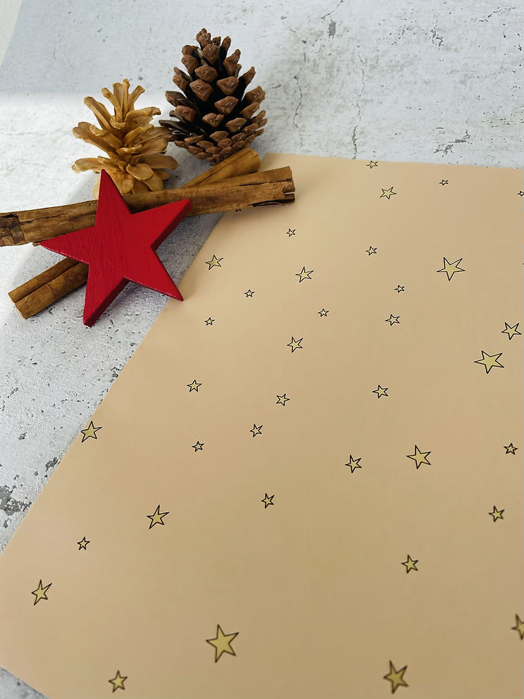 Papier Taschen  •Stars gold• 10 Stk