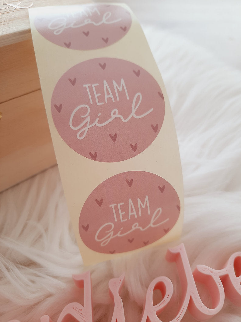 Sticker Team Girl Rosa 250 Stück
